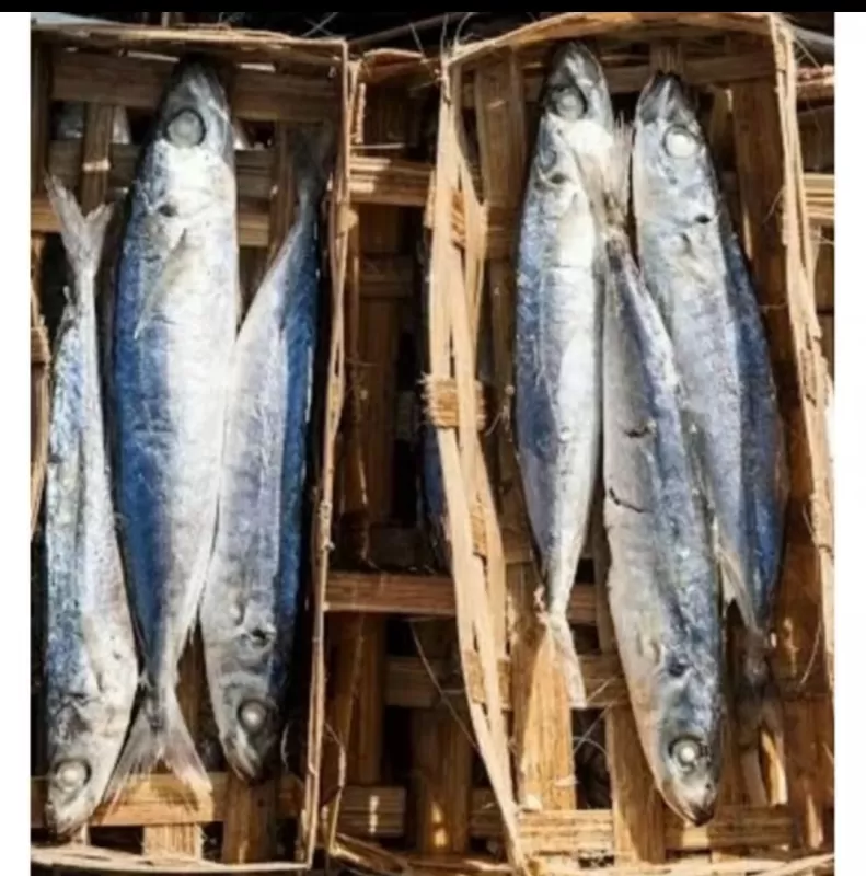 Pindang Kecil isi 2/3/4